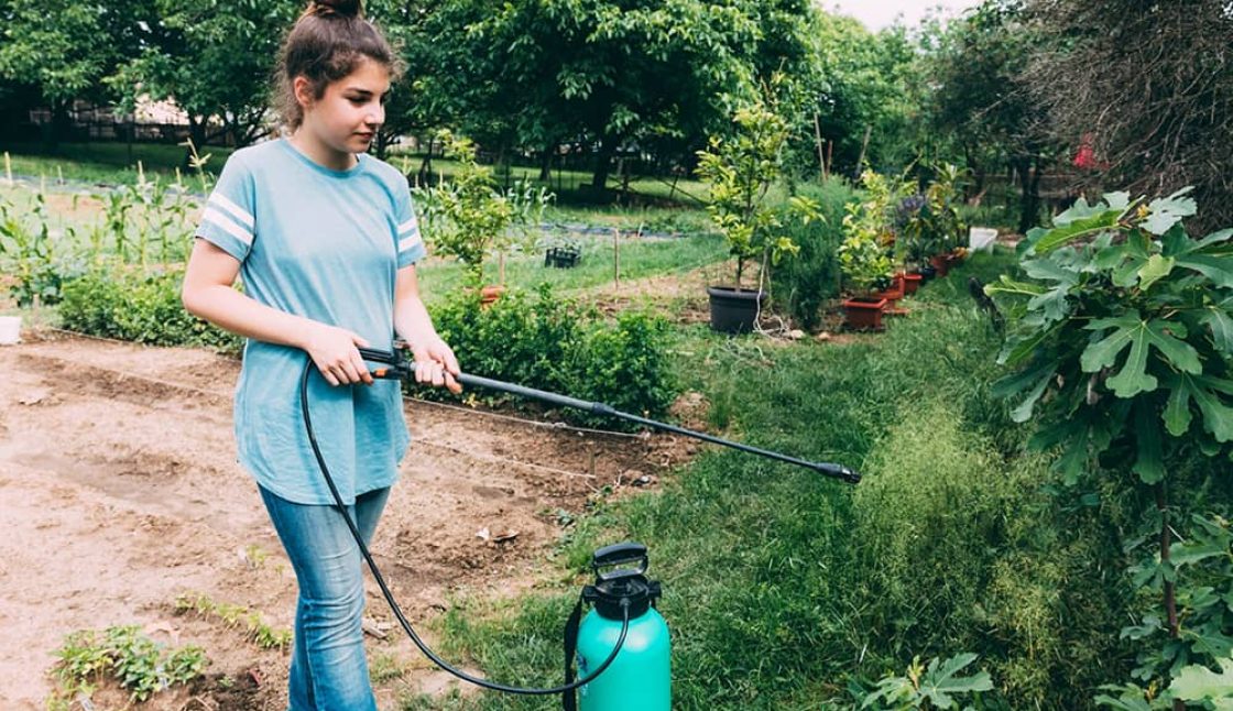 teenager-spraying-plants-garden_23-2147828870 (1)