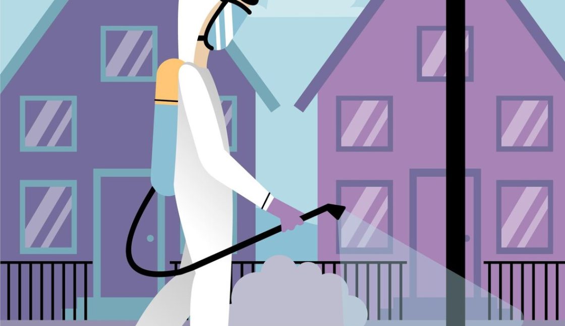 When Should You Call a Pest Control Professional in Kenora?
