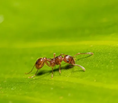 xtdqunzk17y-1024x576.jpg (1)