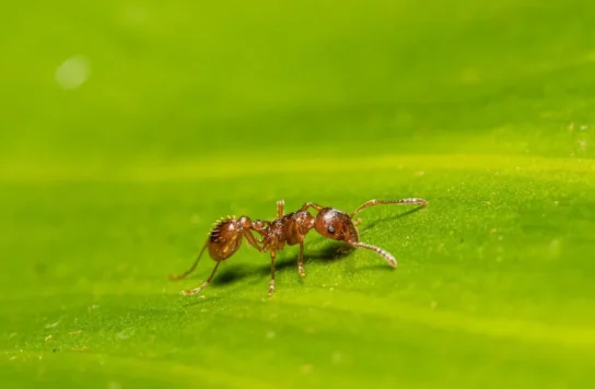 xtdqunzk17y-1024x576.jpg (1)